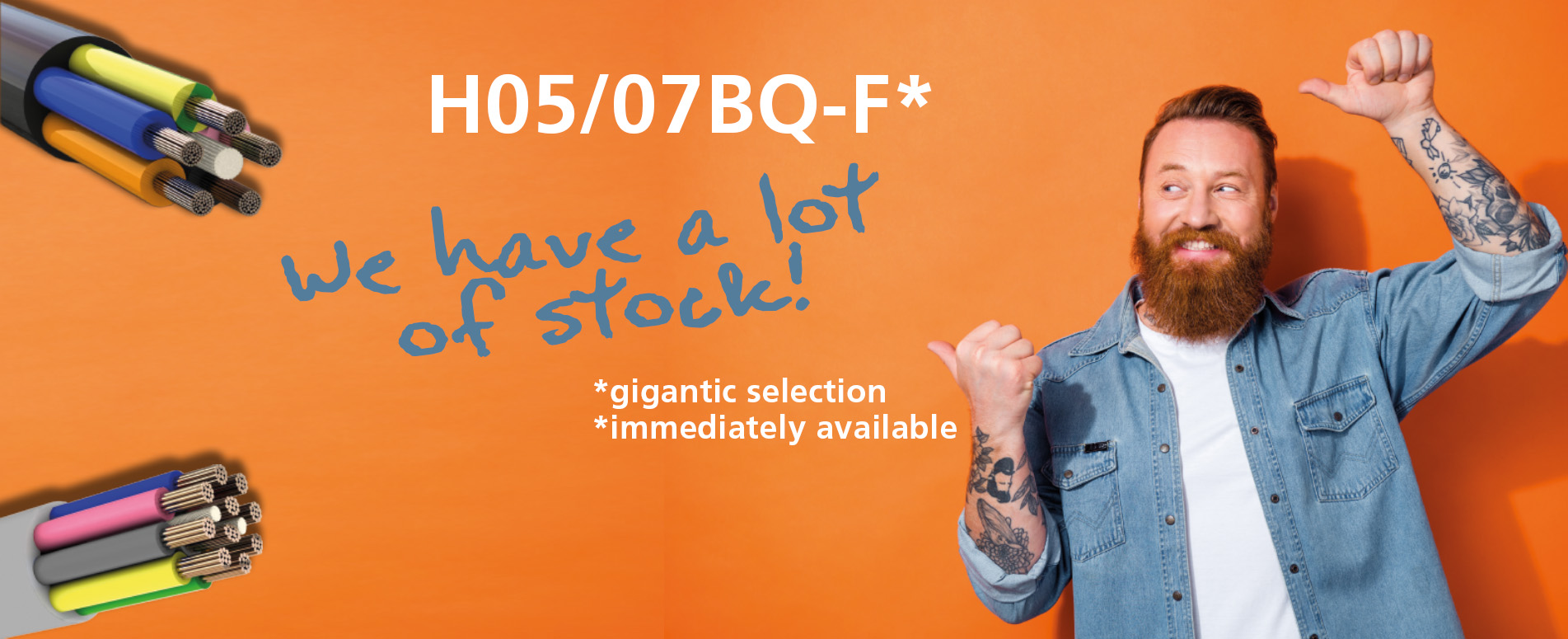 Take advantage of our big stock